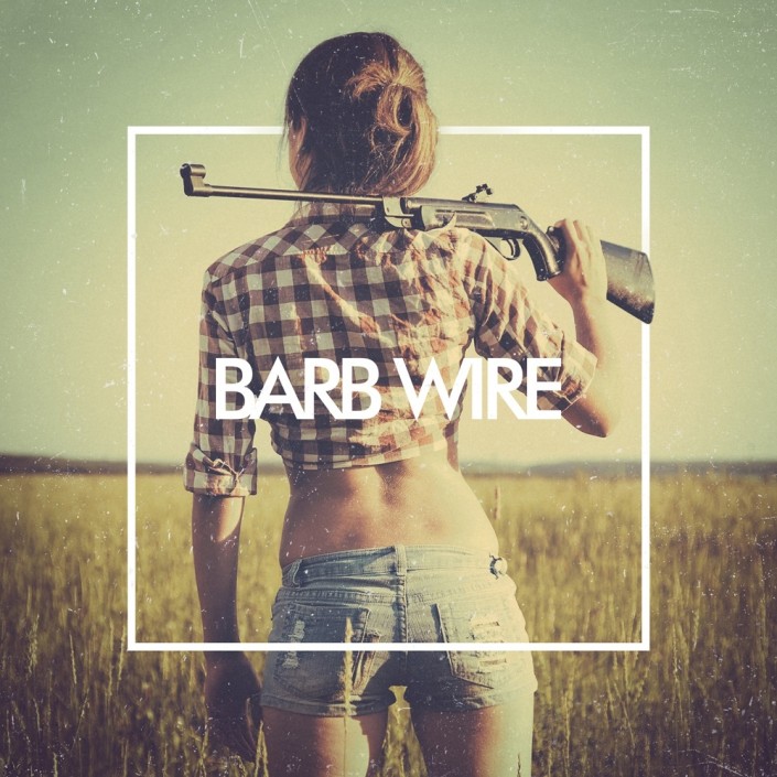 Barb Wire by The Human Animal; Part of The USA Project
