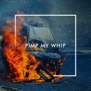 Pimp My Whip by The Human Animal; Part of The USA Project